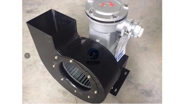 風(fēng)淋室防爆風(fēng)機