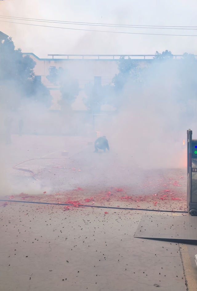 微信圖片_20260226131647_7_3