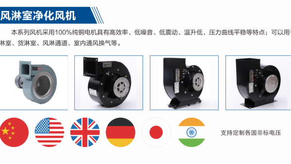 藍天風機支持定制進出口非標電壓風淋室風機